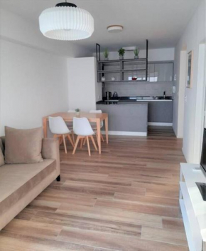 Exclusive apartment in the best area of ​​Palermo